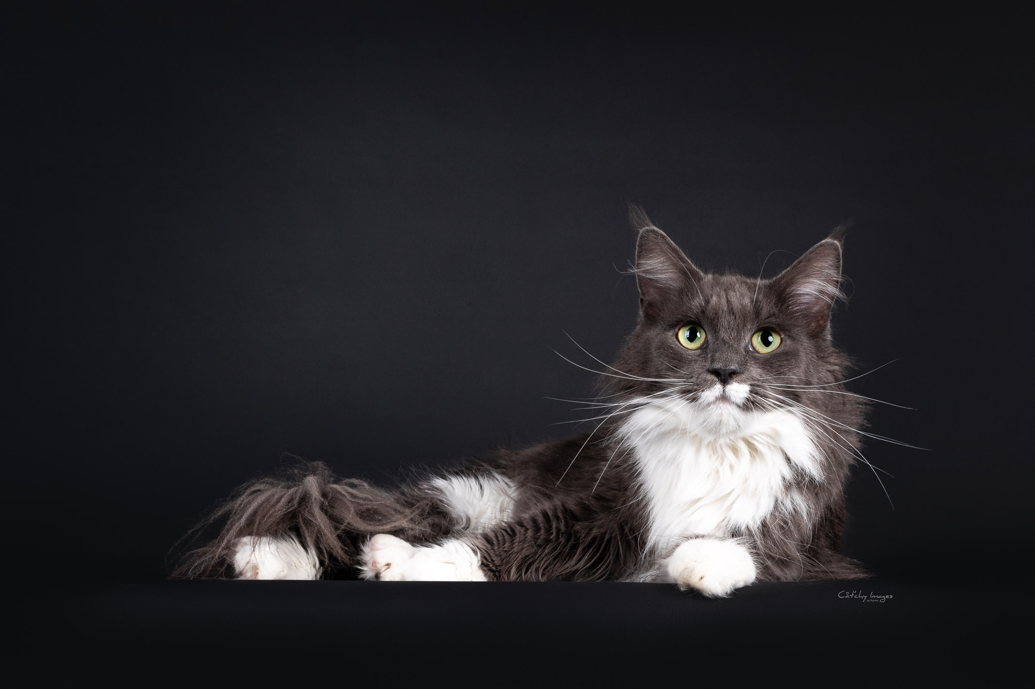 5FB1FE25-C3BC-482C-942F-60C7D149953E