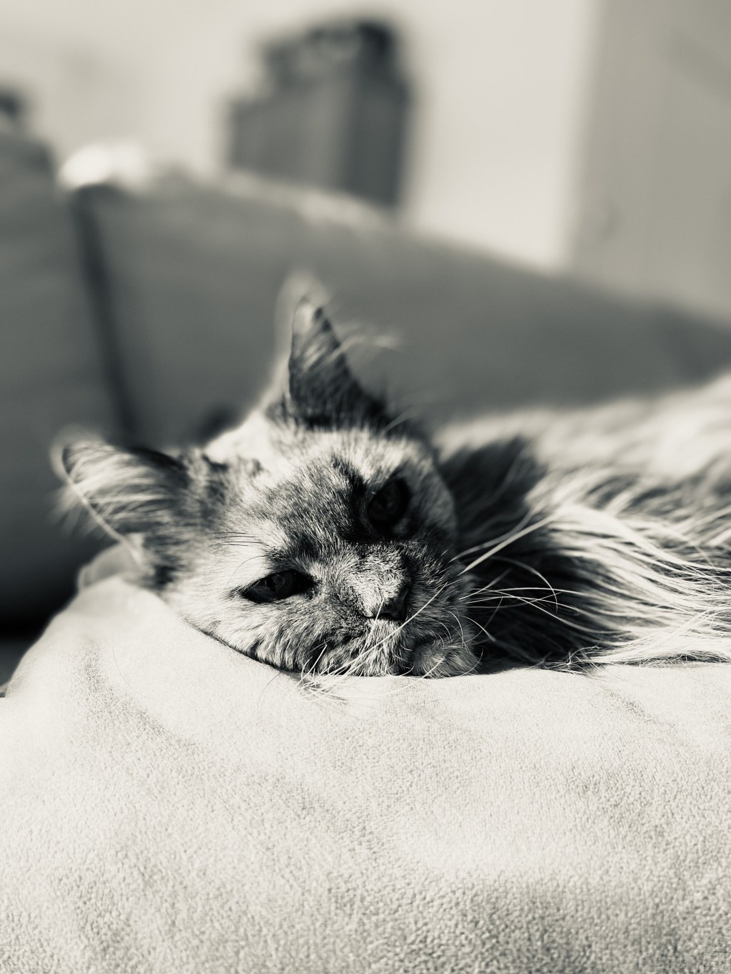 One month without&nbsp;you…